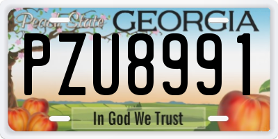 GA license plate PZU8991