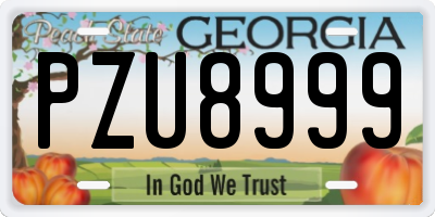 GA license plate PZU8999