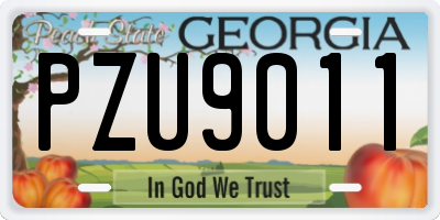 GA license plate PZU9011