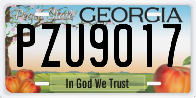 GA license plate PZU9017