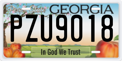 GA license plate PZU9018
