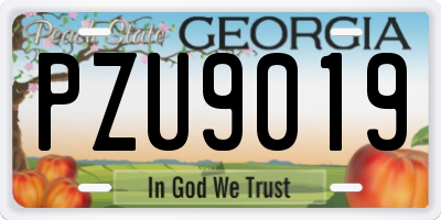 GA license plate PZU9019