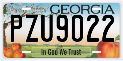 GA license plate PZU9022