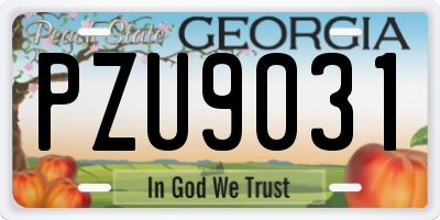 GA license plate PZU9031