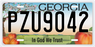 GA license plate PZU9042
