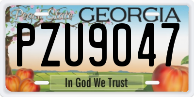 GA license plate PZU9047