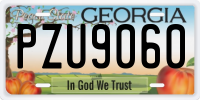GA license plate PZU9060
