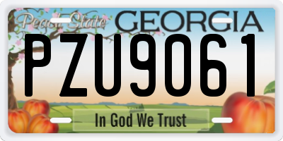 GA license plate PZU9061