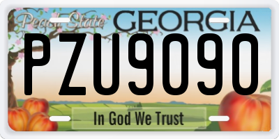 GA license plate PZU9090