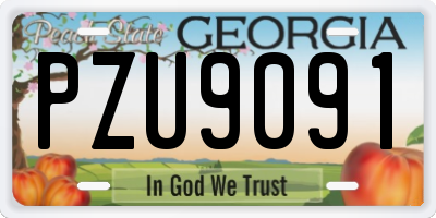 GA license plate PZU9091