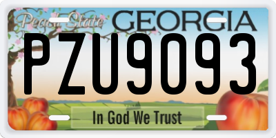 GA license plate PZU9093