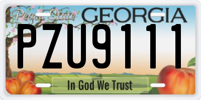 GA license plate PZU9111
