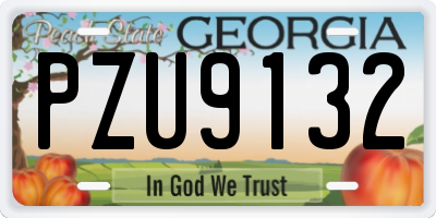 GA license plate PZU9132