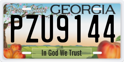 GA license plate PZU9144