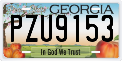 GA license plate PZU9153