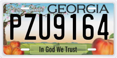 GA license plate PZU9164