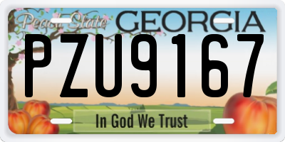GA license plate PZU9167