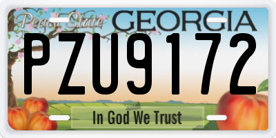GA license plate PZU9172