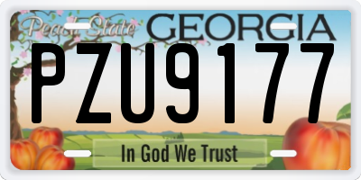 GA license plate PZU9177