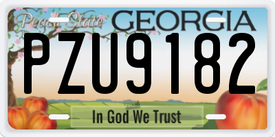 GA license plate PZU9182