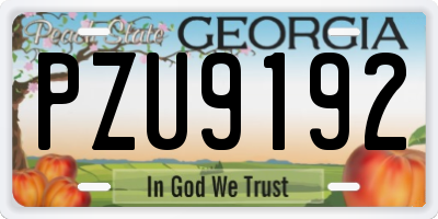 GA license plate PZU9192