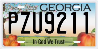 GA license plate PZU9211