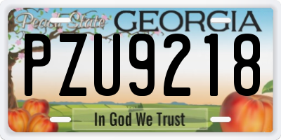GA license plate PZU9218