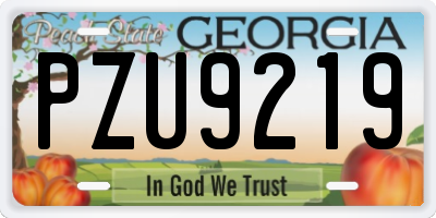 GA license plate PZU9219