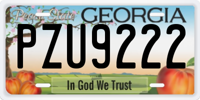 GA license plate PZU9222