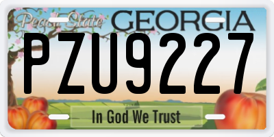 GA license plate PZU9227