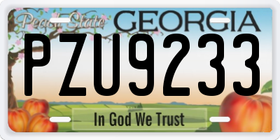 GA license plate PZU9233