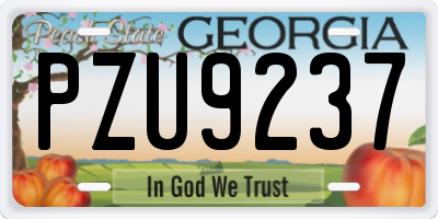 GA license plate PZU9237
