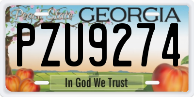 GA license plate PZU9274