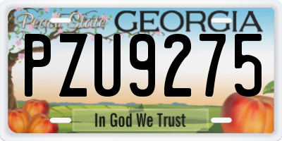 GA license plate PZU9275