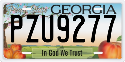 GA license plate PZU9277