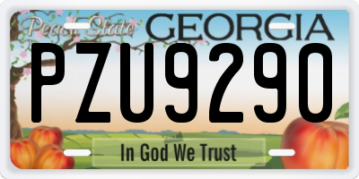 GA license plate PZU9290