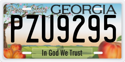 GA license plate PZU9295