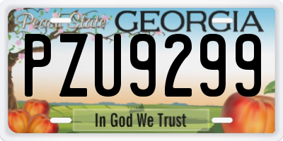 GA license plate PZU9299