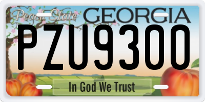 GA license plate PZU9300