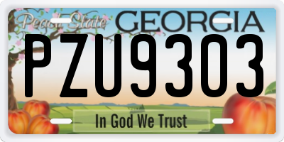 GA license plate PZU9303