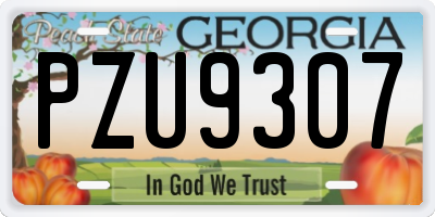 GA license plate PZU9307