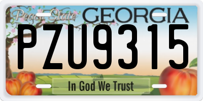 GA license plate PZU9315