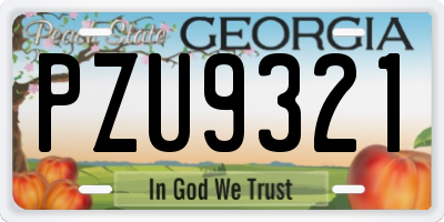 GA license plate PZU9321