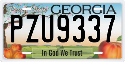 GA license plate PZU9337