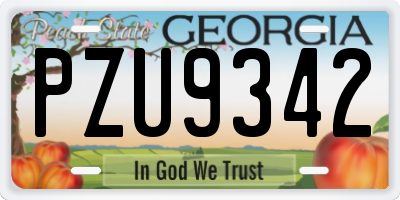 GA license plate PZU9342