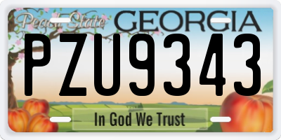 GA license plate PZU9343