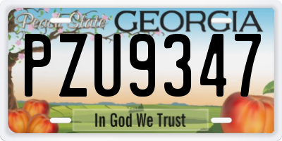GA license plate PZU9347