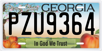 GA license plate PZU9364