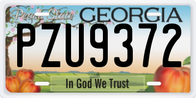 GA license plate PZU9372
