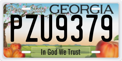 GA license plate PZU9379